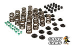 PERFORMANCE VALVE SPRING KIT TO SUIT HSV GTS VT VX VY VE VF LS1 LS2 LS3 LSA 5.7L 6.0L 6.2L V8