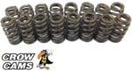 SET OF 16 CROW CAMS VALVE SPRINGS TO SUIT HSV COUPE V2 VZ LS1 LS2 5.7L 6.0L V8