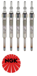 SET OF 5 NGK GLOW PLUGS TO SUIT VOLKSWAGEN LT35 2D AVR TURBO DIESEL 2.5L I5