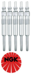 SET OF 5 NGK GLOW PLUGS TO SUIT VOLKSWAGEN TRANSPORTER T5 AXD AXE TURBO DIESEL 2.5L I5