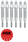 SET OF 6 NGK GLOW PLUGS TO SUIT NISSAN SAFARI Y60 TD42 DIESEL 4.2L I6