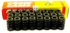 24 X CROW CAMS BEEHIVE VALVE SPRING FOR FORD FALCON BA BF FG FGX BARRA 240T 245T 270T ECOLPI 4.0L I6