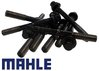 MAHLE COMPLETE HEAD BOLT SET TO SUIT HOLDEN BUICK LN3 L27 3.8L V6