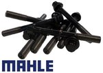MAHLE COMPLETE HEAD BOLT SET TO SUIT HOLDEN COMMODORE UTE VG VP VR BUICK L27 3.8L V6