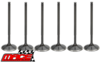 SET OF 6 MACE INTAKE VALVES TO SUIT HOLDEN ECOTEC L36 L67 SUPERCHARGED 3.8L V6