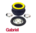 PAIR OF GABRIEL FRONT STRUT MOUNTS TO SUIT HOLDEN COMMODORE VR VS VT VU VX VY VZ VE SEDAN WAGON UTE