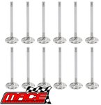 SET OF 12 STANDARD INTAKE & EXHAUST VALVES FOR FORD COURIER PD PE PG PH WL WLAT TURBO DIESEL 2.5L I4