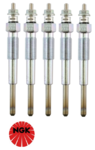 SET OF 5 NGK GLOW PLUGS TO SUIT TOYOTA LANDCRUISER PZJ70R PZJ73R 1PZ DIESEL 3.5L I5