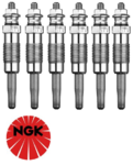 SET OF 6 NGK GLOW PLUGS TO SUIT LAND ROVER RANGE ROVER P38 M51D25 TURBO DIESEL 2.5L I6