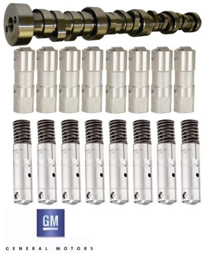 GENUINE GM AFM CAMSHAFT AND LIFTERS PACK TO SUIT HOLDEN CAPRICE WL WM WN L76 L77 6.0L V8