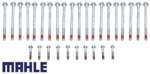 MAHLE CYLINDER HEAD BOLT SET TO SUIT HOLDEN CAPRICE WK WL LS1 5.7L V8 FROM 10/2003