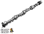 CROW CAMS ROLLER CAMSHAFT TO SUIT HOLDEN COMMODORE VT.I VS.III 304 MPFI 5.0L V8