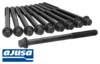 Go to product AJUSA CYLINDER HEAD BOLT SET TO SUIT KIA SPORTAGE KM D4EA 2.0L I4 EXCEPT KH811 & JE551 CHASSIS