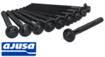 AJUSA CYLINDER HEAD BOLT SET TO SUIT RENAULT LATITUDE X43 M9R.817 TURBO DIESEL 2.0L I4