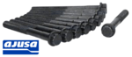 AJUSA CYLINDER HEAD BOLTS TO SUIT TOYOTA HIACE TRH201R TRH214R TRH219R TRH221R TRH223R 2TR-FE 2.7 I4