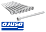 AJUSA CYLINDER HEAD BOLT SET TO SUIT SUBARU OUTBACK BP B13 EZ30D 3.0L F6 SUITS 180KW