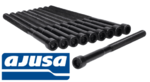 AJUSA CYLINDER HEAD BOLT SET TO SUIT HYUNDAI TUCSON TLE G4FJ TURBO 1.6L I4