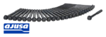AJUSA CYLINDER HEAD BOLT SET TO SUIT TOYOTA LANDCRUISER HZJ105R HZJ71R HZJ78R HZJ99R 1HZ 4.2L I6