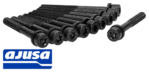 AJUSA CYLINDER HEAD BOLT SET TO SUIT DAEWOO LEGANZA V100 C20SED T22SED 2.0L 2.2L I4